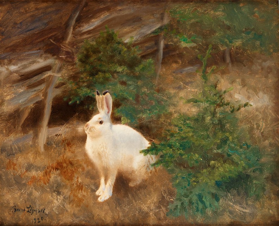 Bruno Liljefors - Skogshare 1920