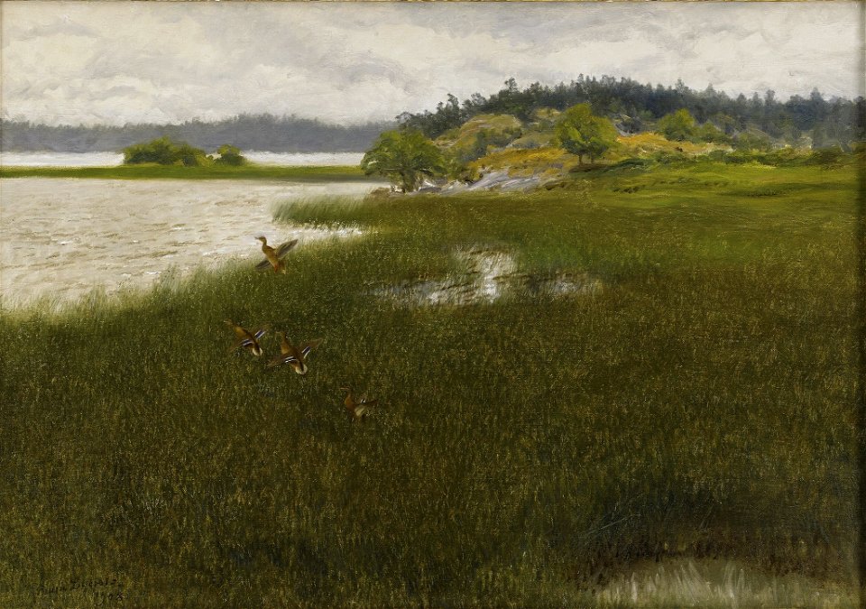 Bruno Liljefors - Lyftande änder 1908