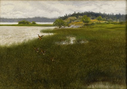 Bruno Liljefors - Lyftande änder 1908