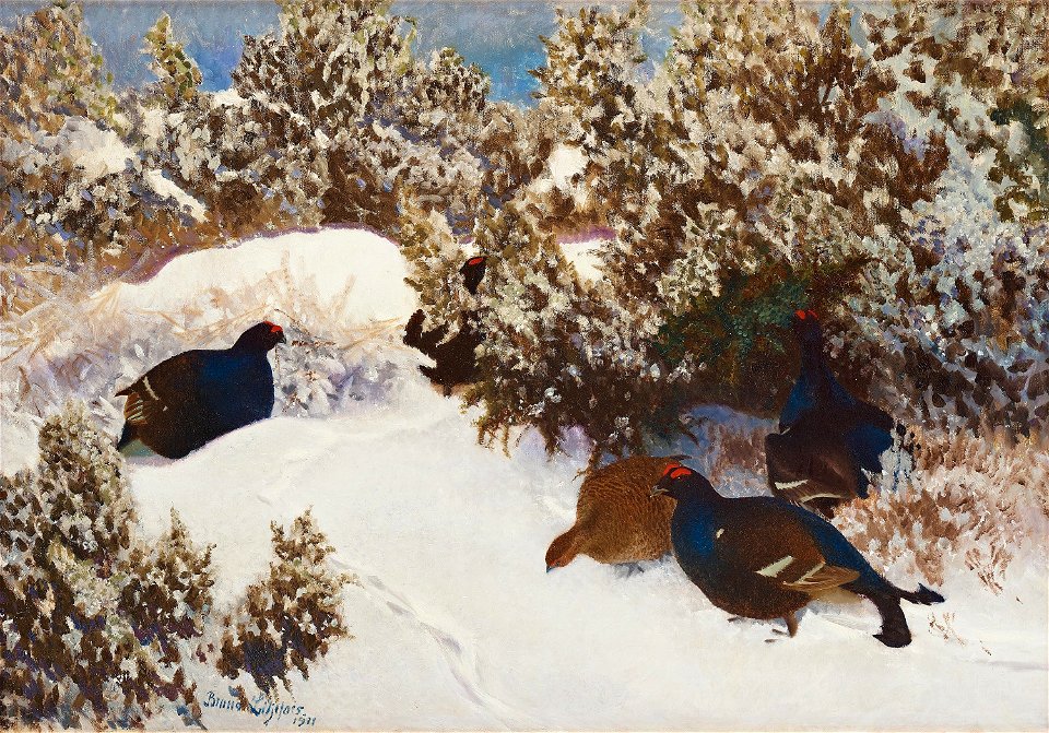 Bruno Liljefors - Orrar i vinterlandskap 1911