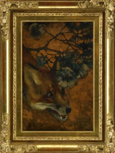 Bruno Liljefors - Fox under pine branch (framed) 1889