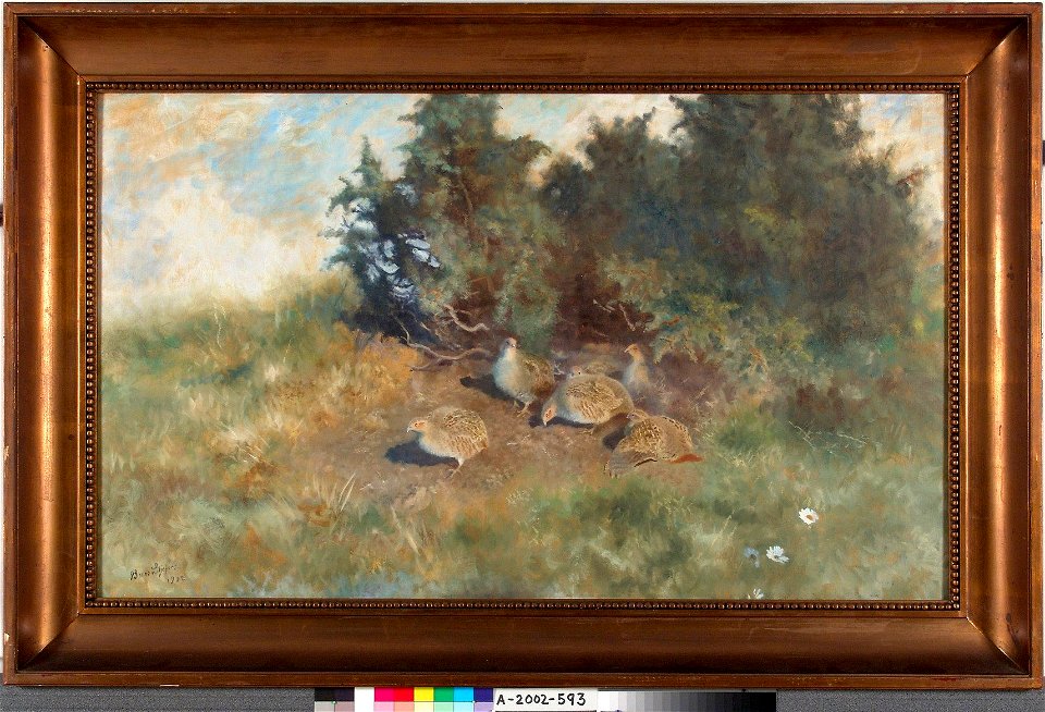 Bruno Liljefors - Partridges - A-2002-593 - Finnish National Gallery