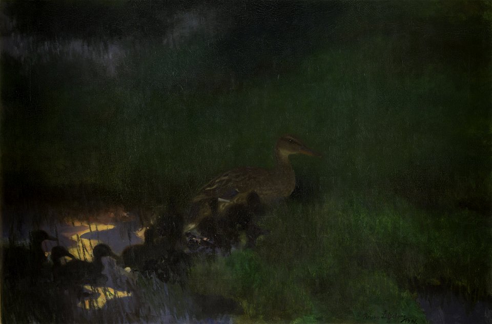 Bruno Liljefors Brood of Wild Ducks Thielska 237