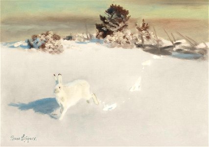 Bruno Liljefors - Vinterhare vid gardesgard