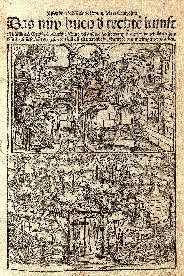Brunschwig 1508