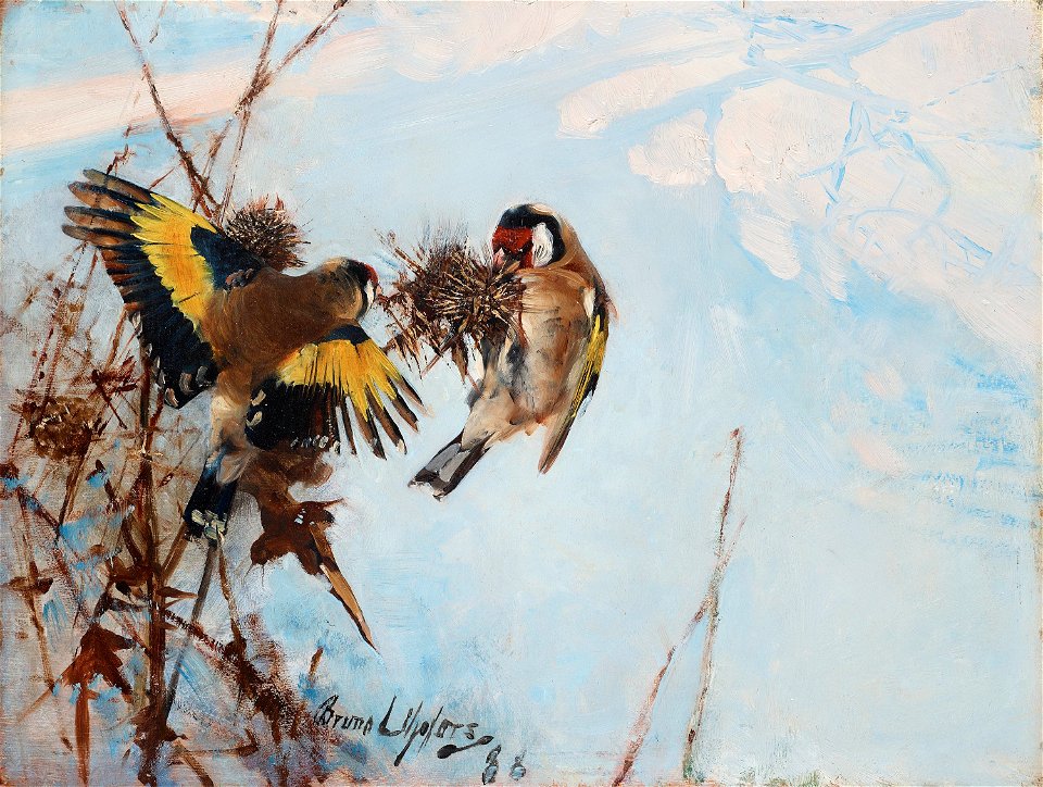 Bruno Liljefors - Steglitsor 1888
