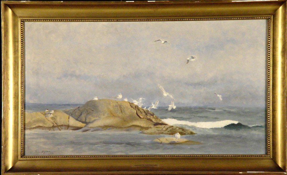 Bruno Liljefors - Zilvermeeuwen en sterns op de scheren voor de Scandinavische kust - 0213 - Rijksmuseum Twenthe