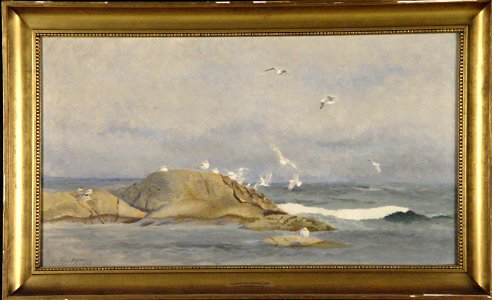Bruno Liljefors - Zilvermeeuwen en sterns op de scheren voor de Scandinavische kust - 0213 - Rijksmuseum Twenthe