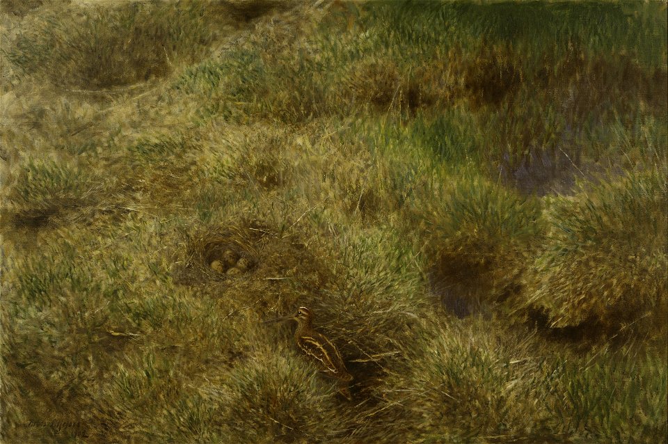 Bruno Liljefors Snipe's Nest Thielska 250