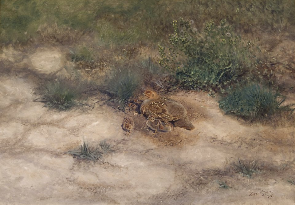 Bruno Liljefors Brood of Partridges Thielska 266