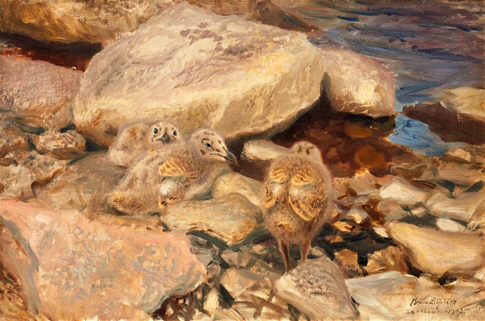 Bruno Liljefors - Trutungar 1903