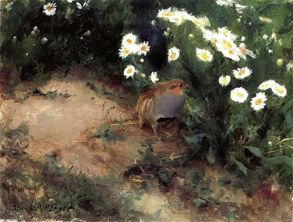 Bruno Liljefors - Partridge with Daisies