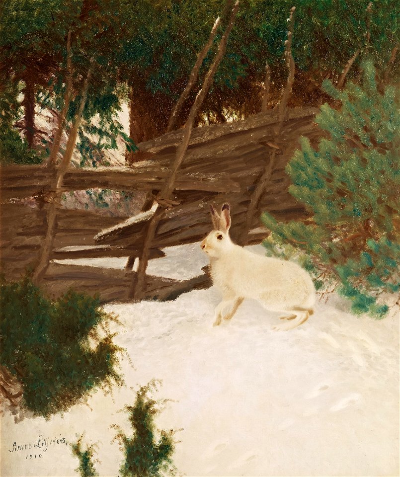 Bruno Liljefors - Vinterhare 1910