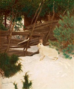 Bruno Liljefors - Vinterhare 1910