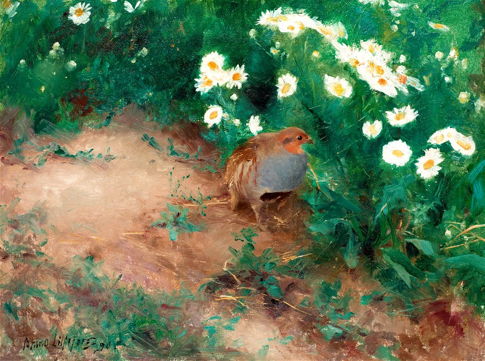 Bruno Liljefors - Rapphöna med prästkragar 1890