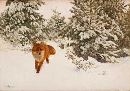 Bruno Liljefors - Vinterlandskap med räv 1909