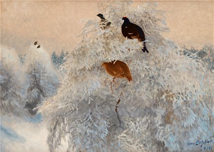 Bruno Liljefors - Vintervita trädtoppar med orrar 1910