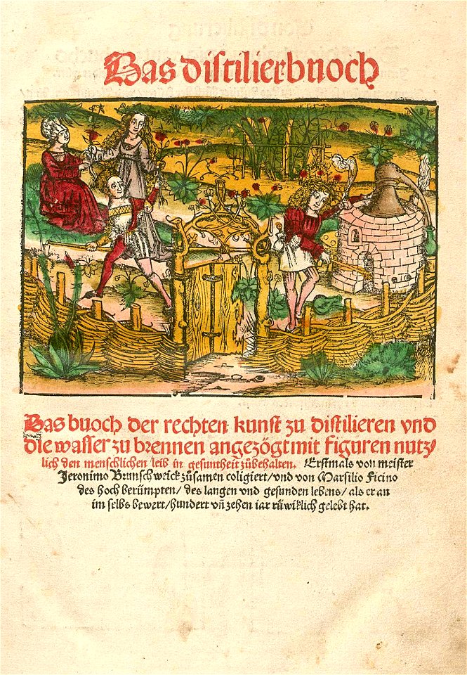 Brunschwig 1521