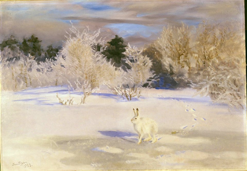 Bruno Liljefors - Winterlandschap met sneeuwhaas - 0233 - Rijksmuseum Twenthe