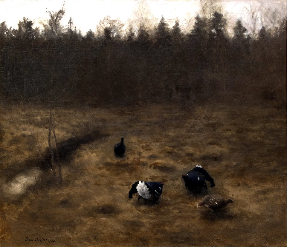 Bruno Liljefors Black Grouse Courting Thielska 233