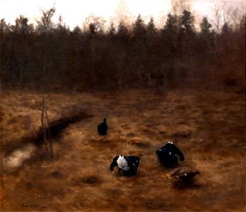 Bruno Liljefors Black Grouse Courting Thielska 233
