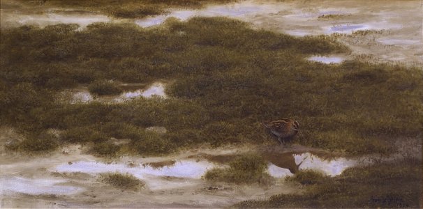 Bruno Liljefors Snipe Thielska 265