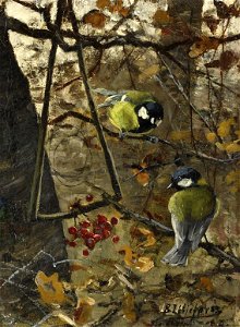 Bruno Liljefors - Talgoxar 1882