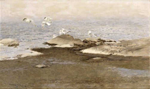Bruno Liljefors - Trutar vid strandkanten