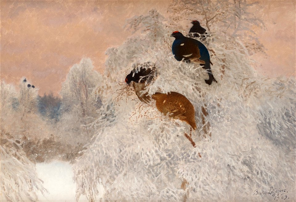 Bruno Liljefors - Vinterbild med orrar 1909