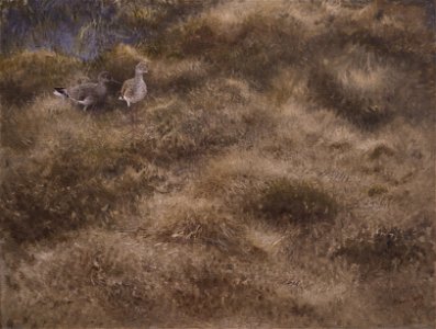 Bruno Liljefors Meadow with Sandpipers Thielska 273