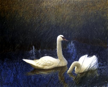 Bruno Liljefors Swans in Reeds Thielska 270