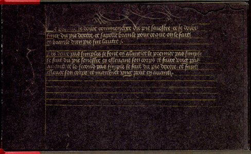 Brussels manuscript 9085 - Page 20