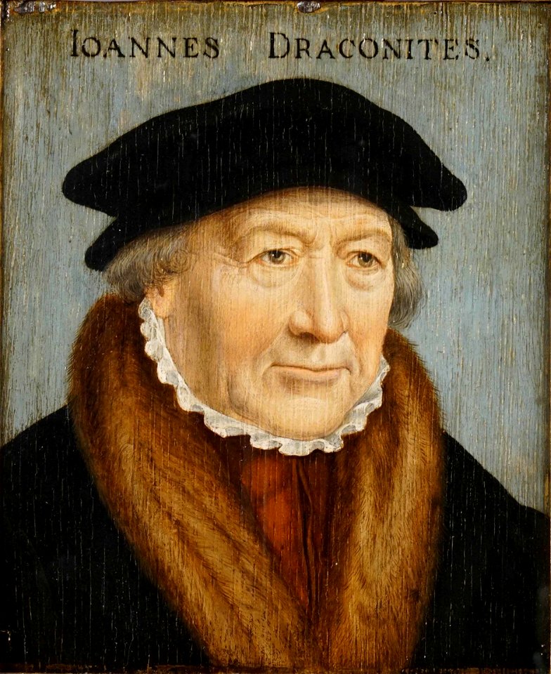 Bartholomäus Bruyn (I) - Bildnis des Johannes Draconites