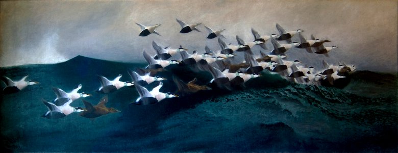 Bruno Liljefors Eider Ducks Flying in Formation Thielska 249