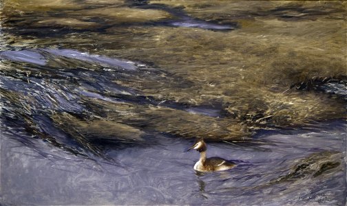 Bruno Liljefors Grebe Thielska 272