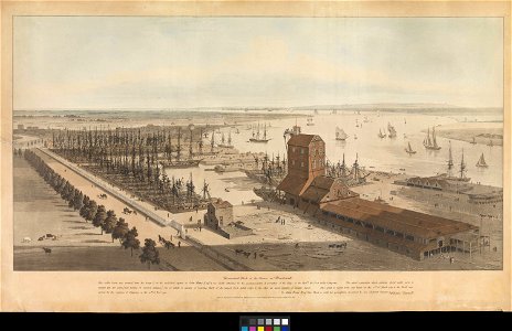 Brunswick Dock on the Thames at Blackwall RMG PZ7125