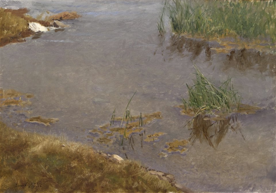 Bruno Liljefors Shallow Water Thielska 268