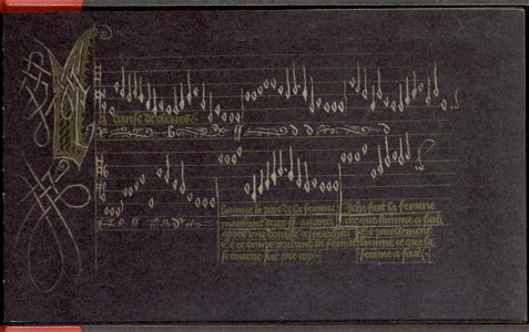 Brussels manuscript 9085 - Page 45