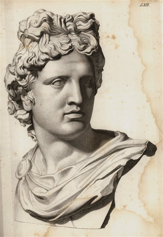 Brustbild des Apollon (Nach einem Gibsabgusse gezeichnet) - Horner Johann Jakob - 1844
