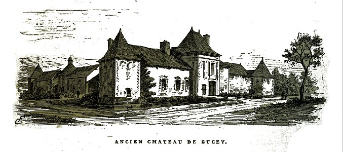 Bucey ancien chateau Fichot 00297