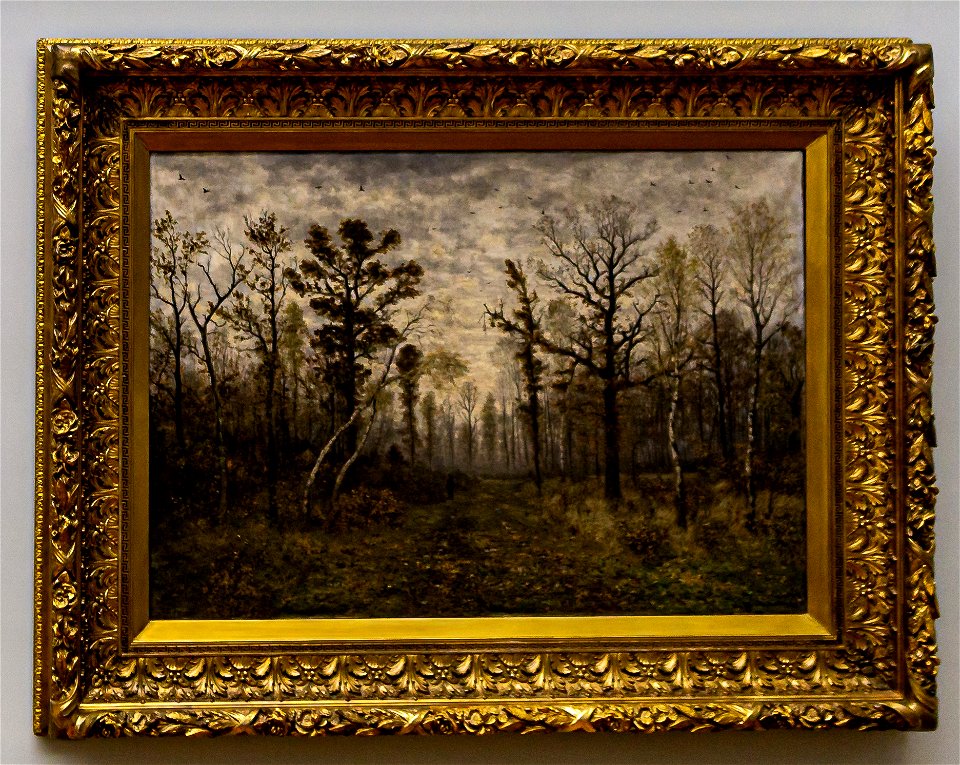 Buchholz-Lichter Wald im Herbstnebel DSC8844