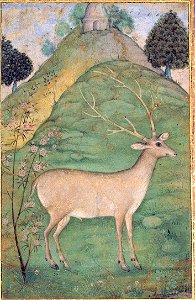 Buck in a Landscape (6124505477)
