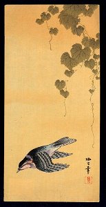 Budō ni shōkin LCCN2008660191