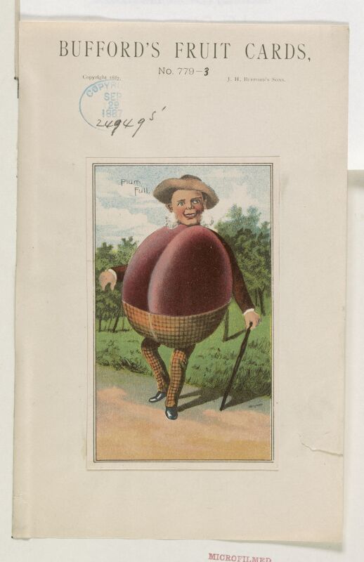 Bufford's fruit cards, no. 779-3 (plum) - Bufford. LCCN2013646766