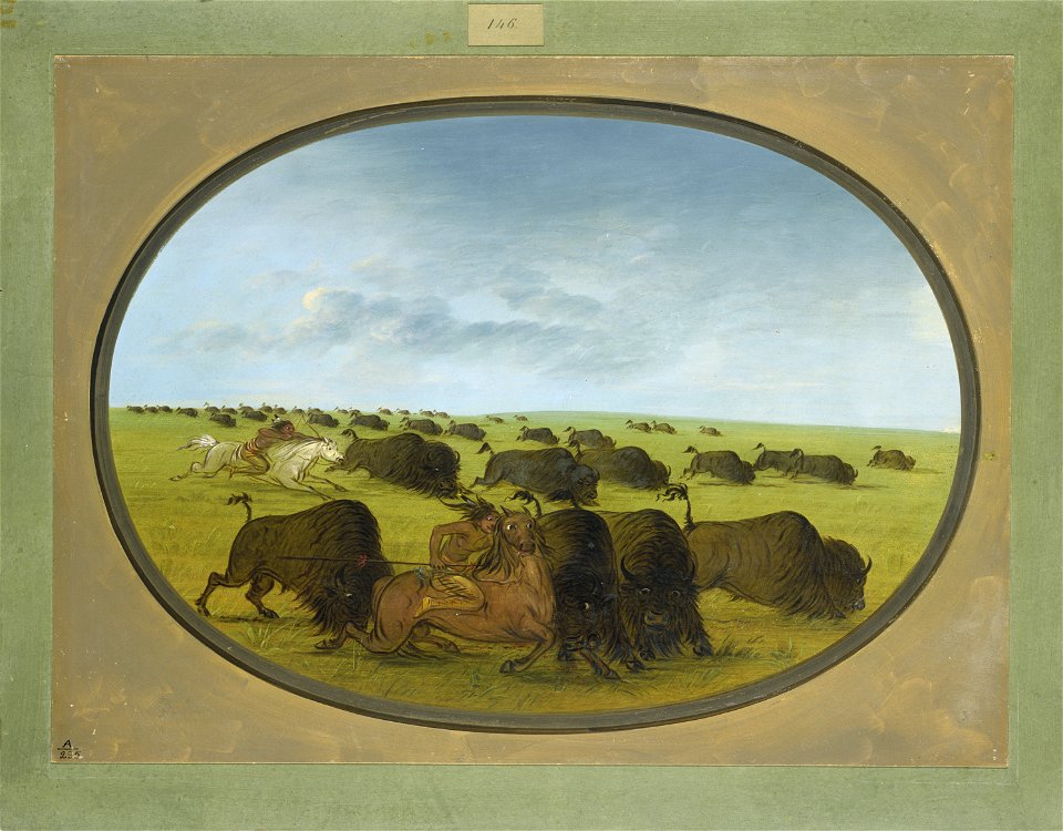 Buffalo Chase, with Accidents F-001451-20120409