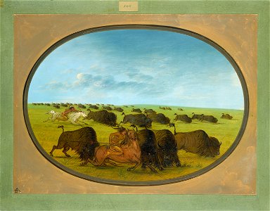 Buffalo Chase, with Accidents F-001451-20120409