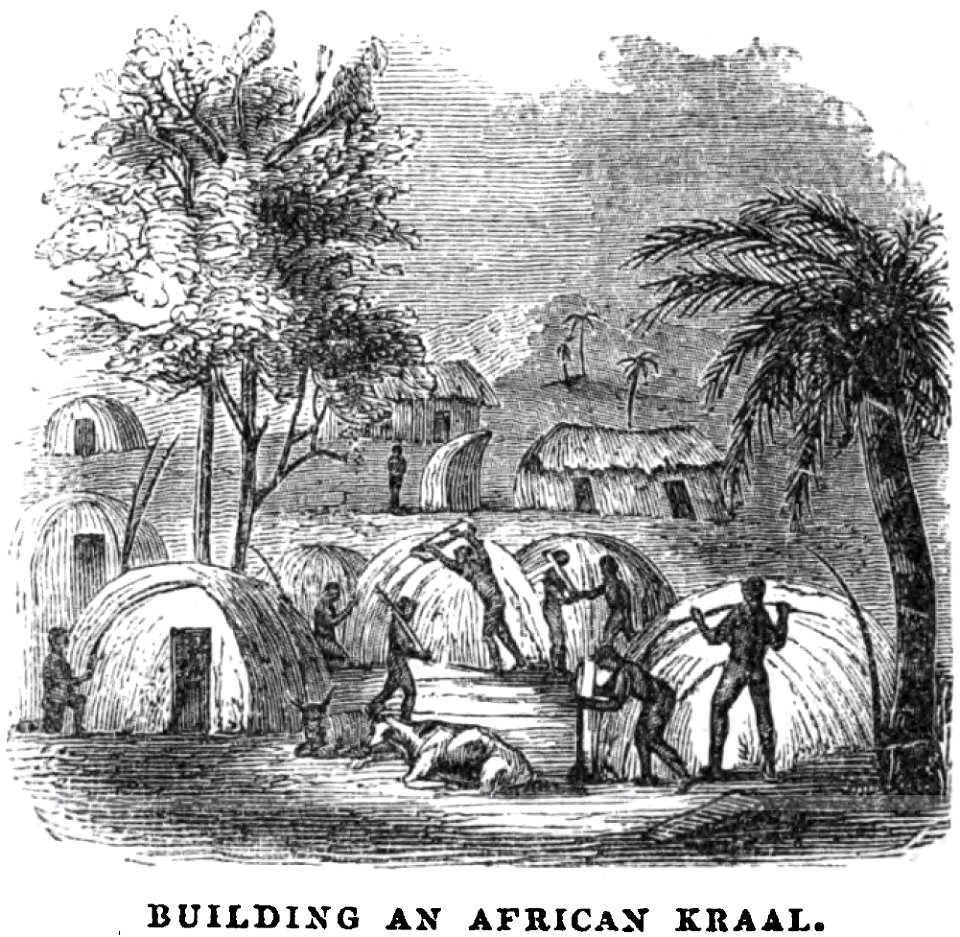 Building an African Kraal (July 1853, X, p.78) - Copy