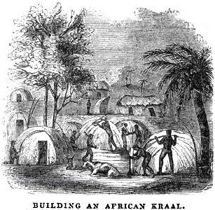 Building an African Kraal (July 1853, X, p.78) - Copy. Free illustration for personal and commercial use.