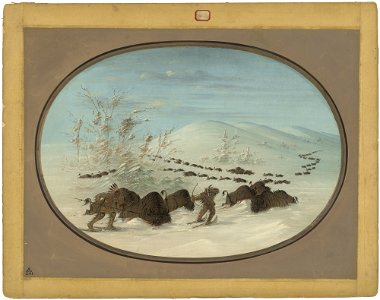 Buffalo Chase in the Snow Drifts - Ojibbeway C16901
