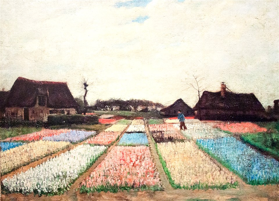 Bulb Fields - My Dream